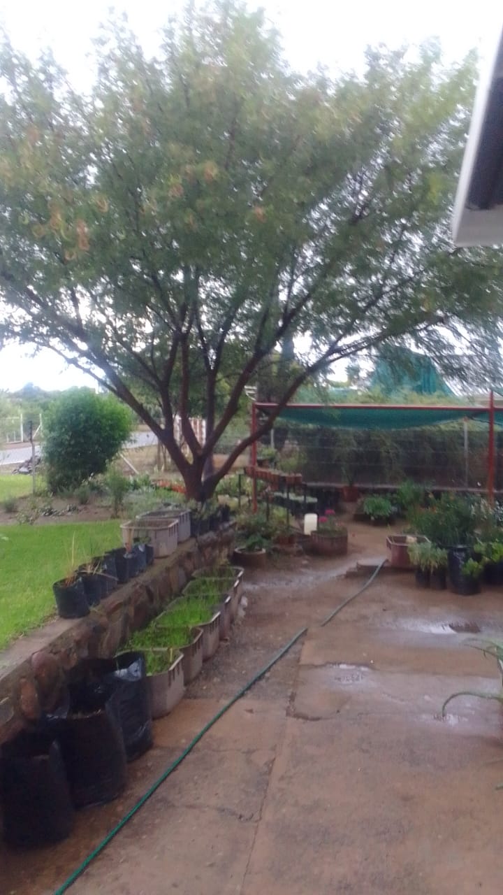 3 Bedroom Property for Sale in Oviston Eastern Cape